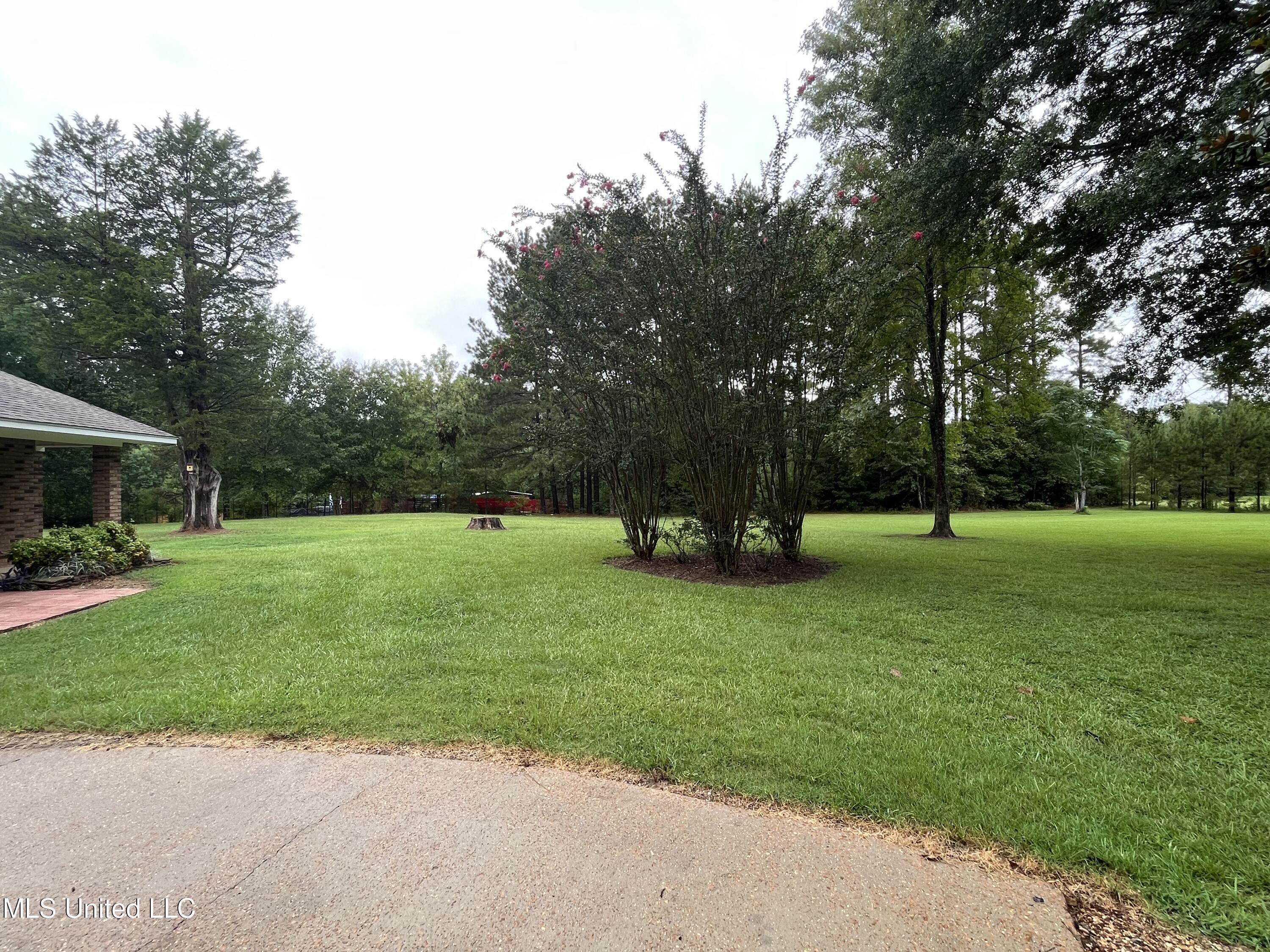 214 Boteler Road Florence, MS 39073 - Photo 16 of 39 IMG_2810