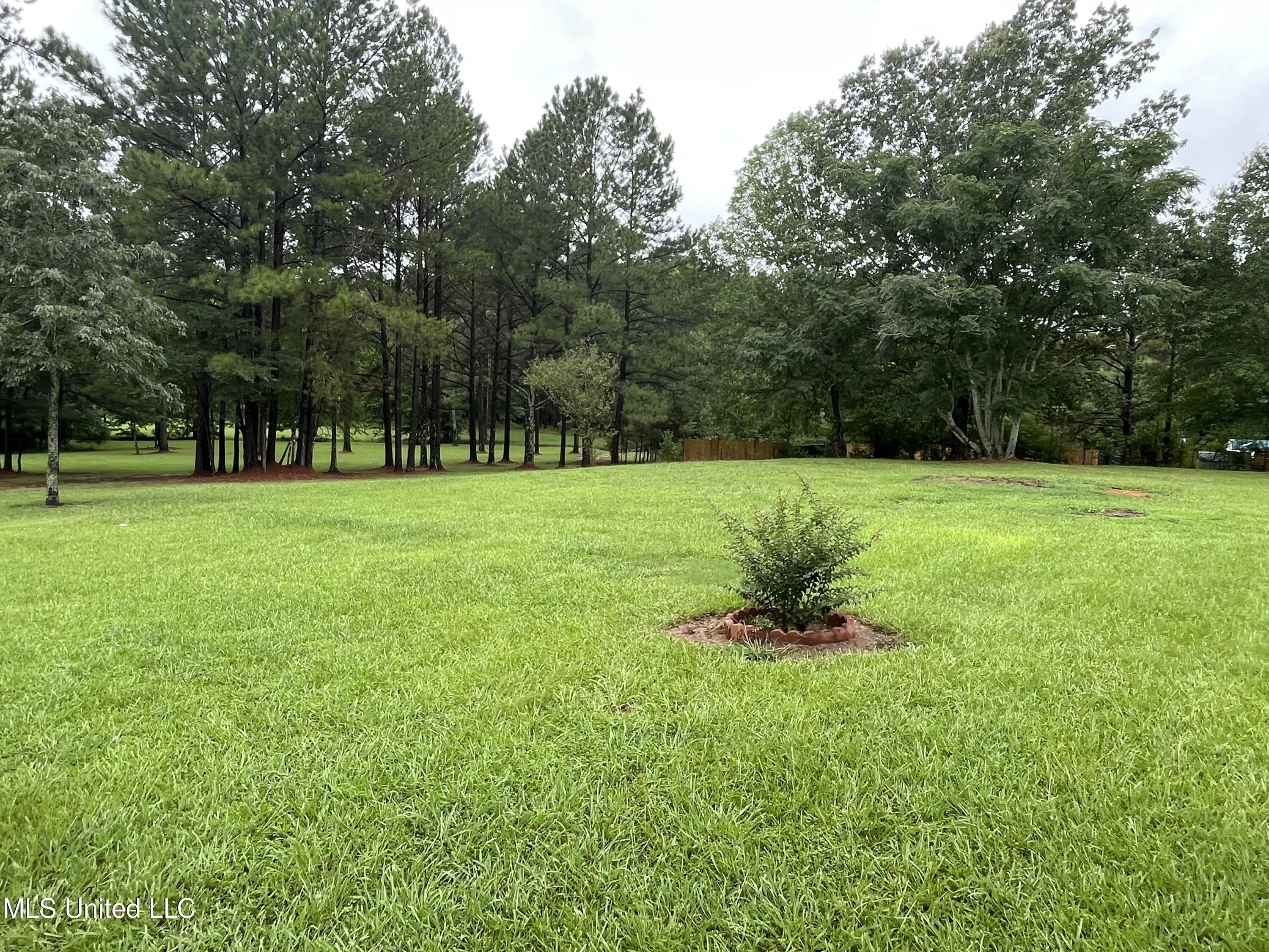 214 Boteler Road Florence, MS 39073 - Photo 17 of 39 IMG_2813