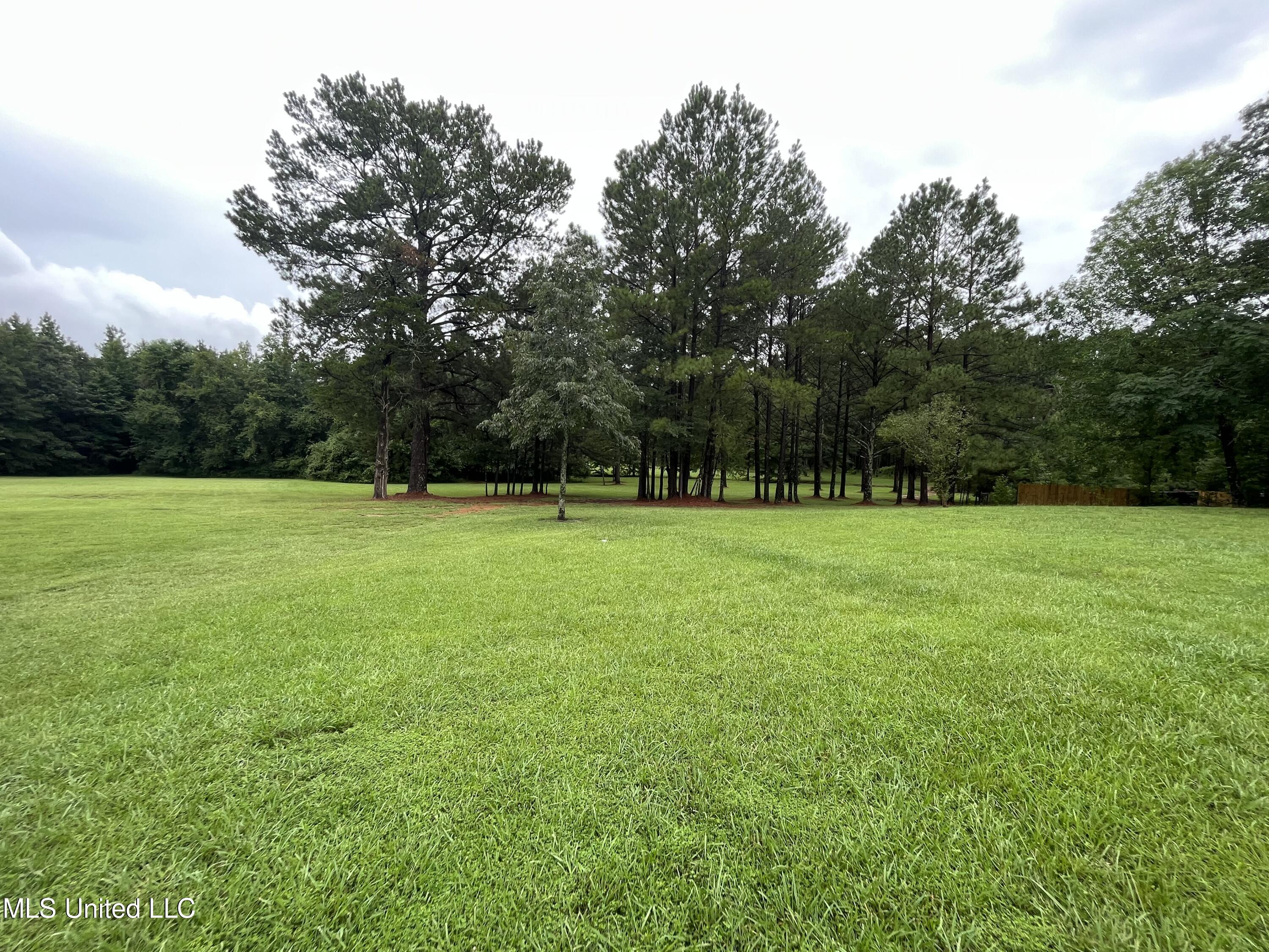 214 Boteler Road Florence, MS 39073 - Photo 18 of 39 IMG_2814