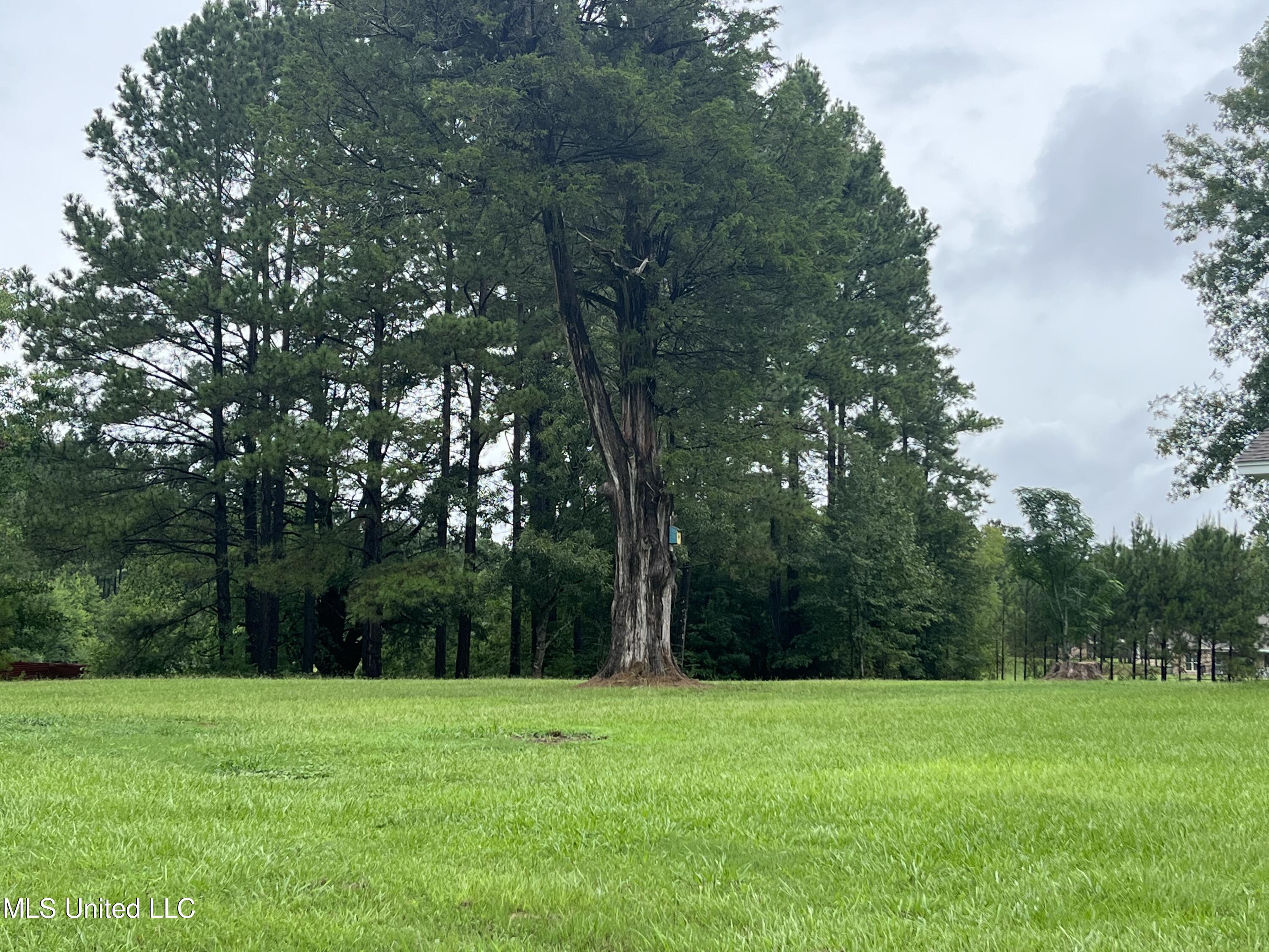 214 Boteler Road Florence, MS 39073 - Photo 19 of 39 IMG_2817