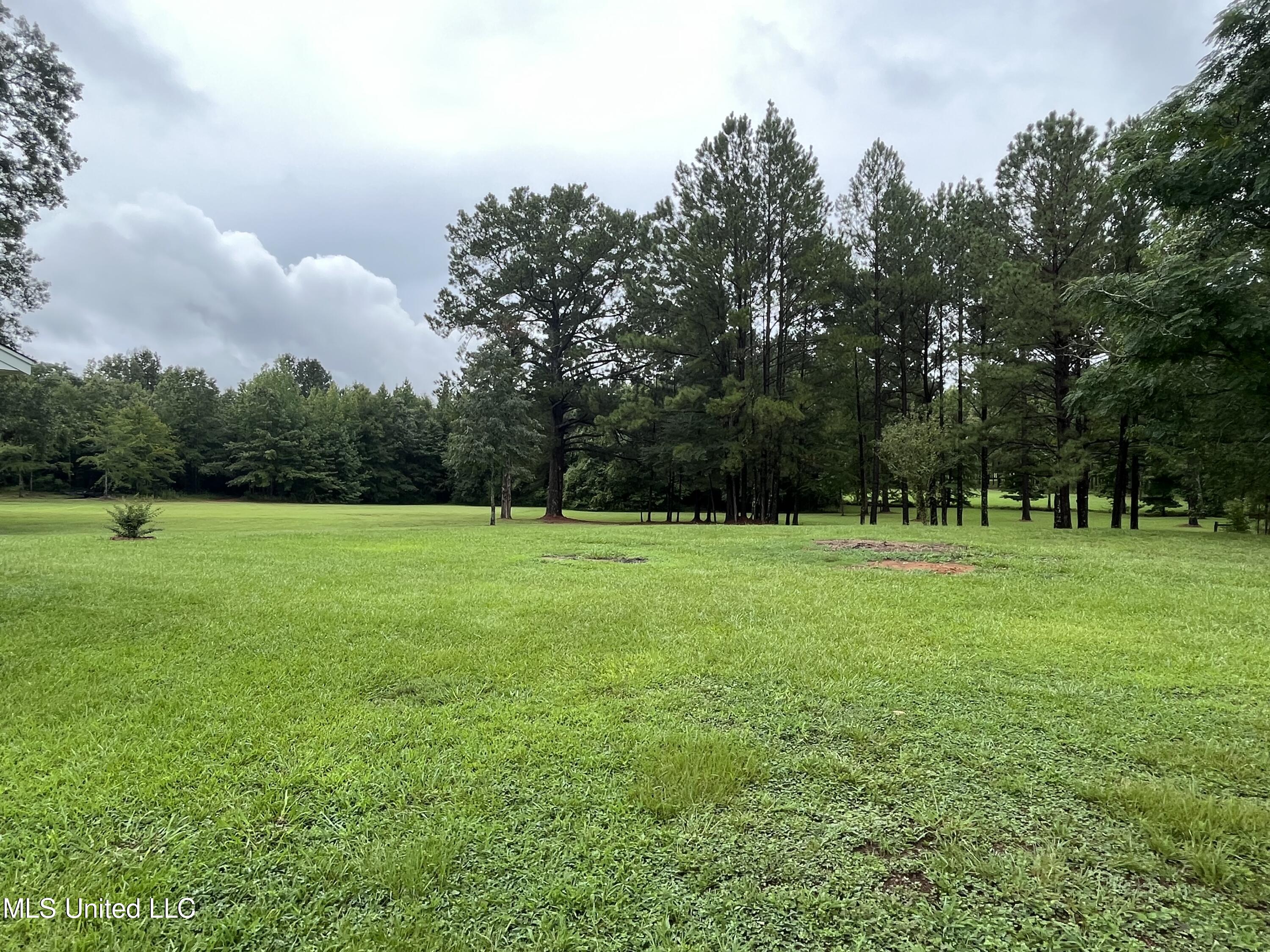 214 Boteler Road Florence, MS 39073 - Photo 20 of 39 IMG_2819