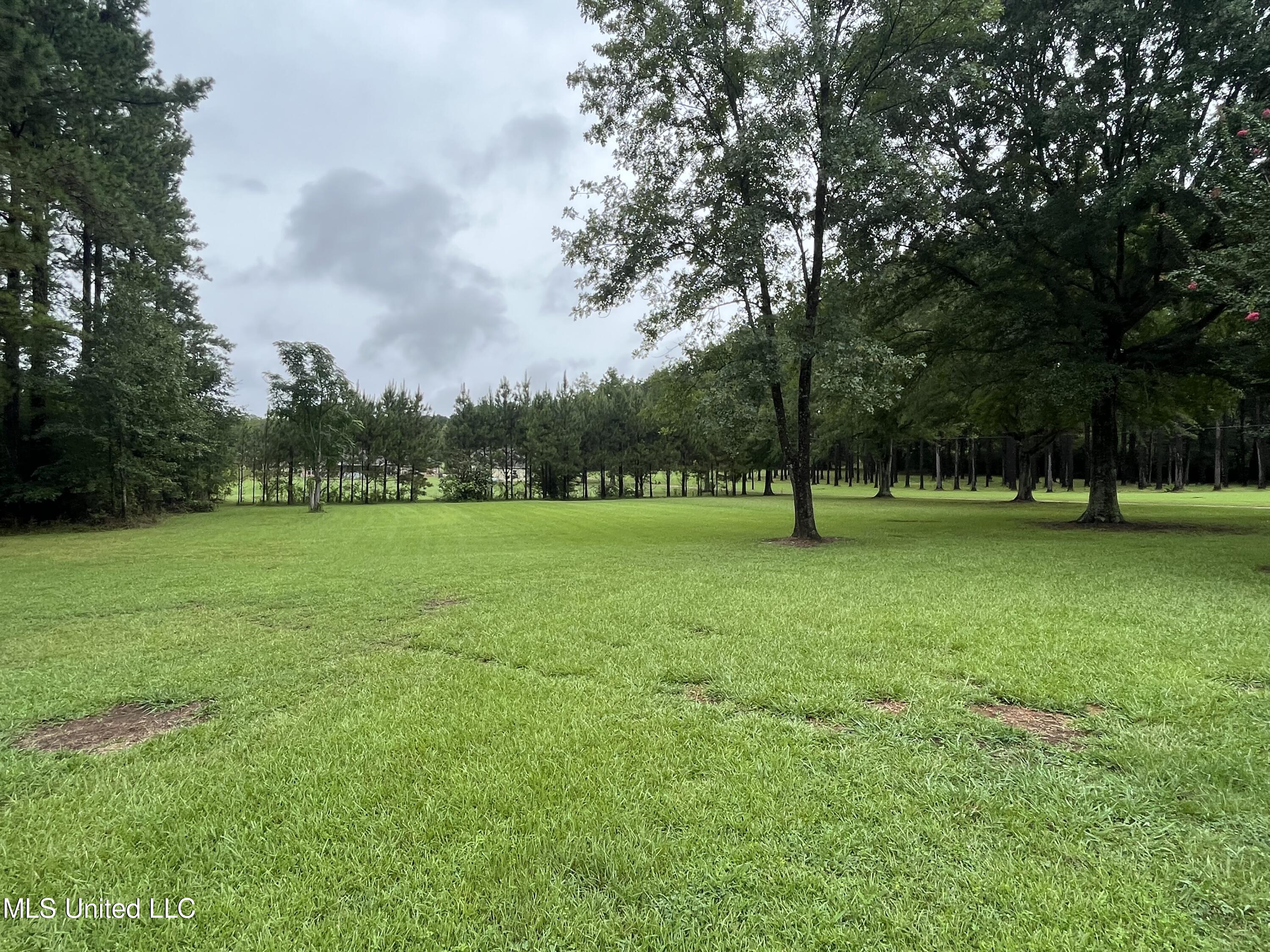 214 Boteler Road Florence, MS 39073 - Photo 22 of 39 IMG_2821