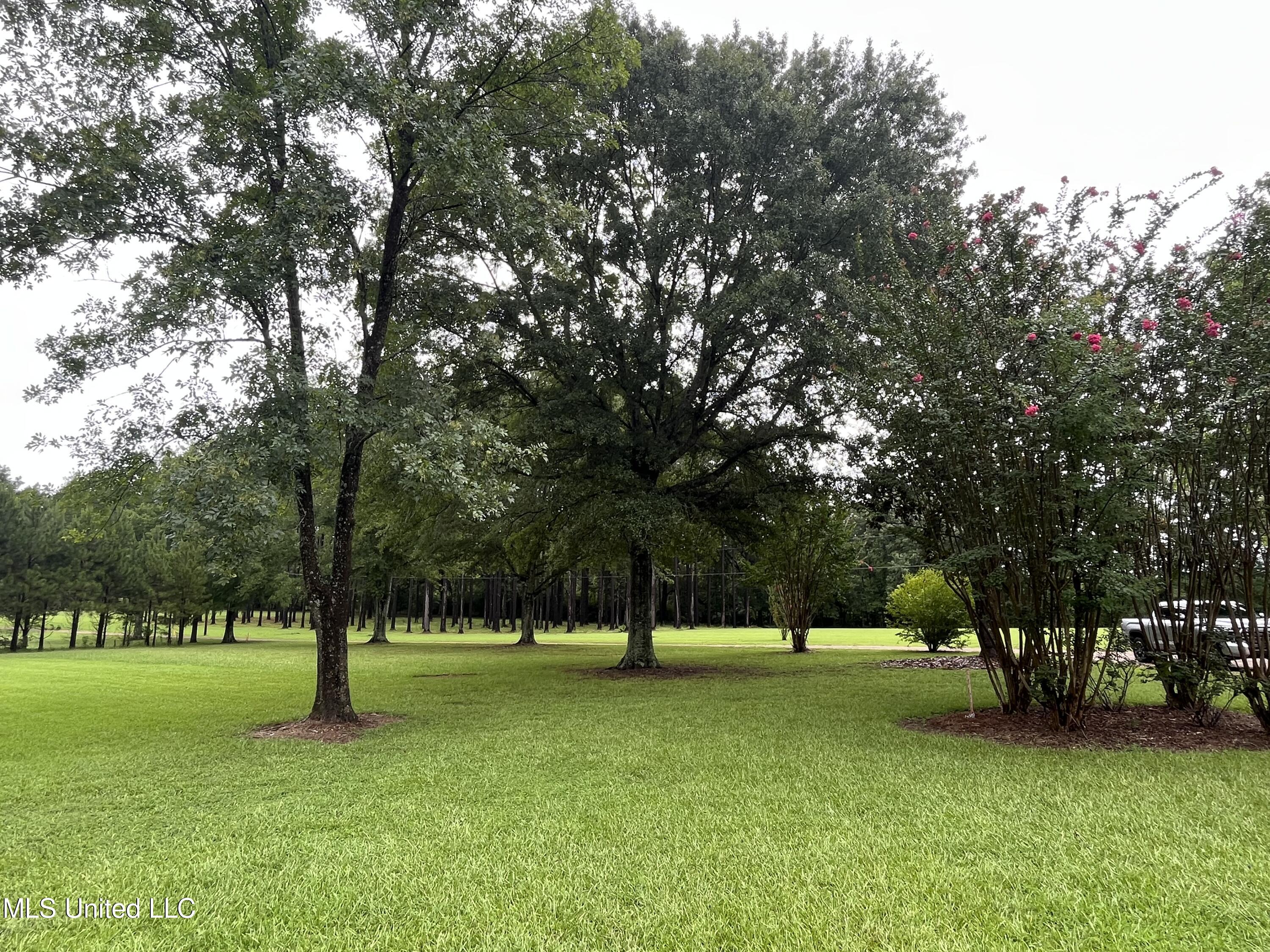 214 Boteler Road Florence, MS 39073 - Photo 23 of 39 IMG_2822