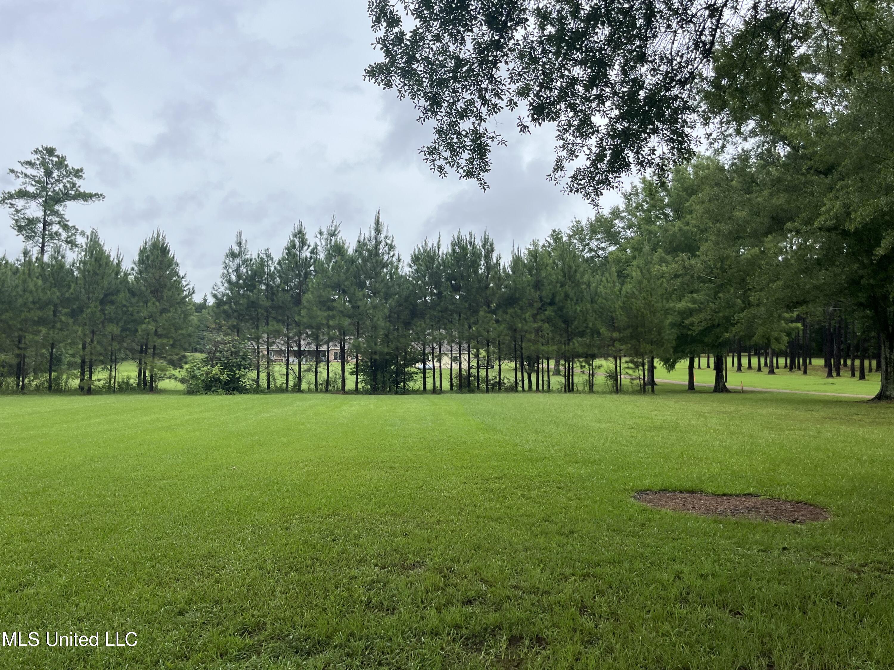 214 Boteler Road Florence, MS 39073 - Photo 24 of 39 IMG_2824