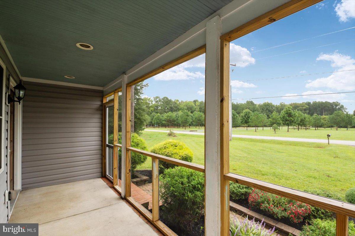 Amazing & peaceful views from the screened porch