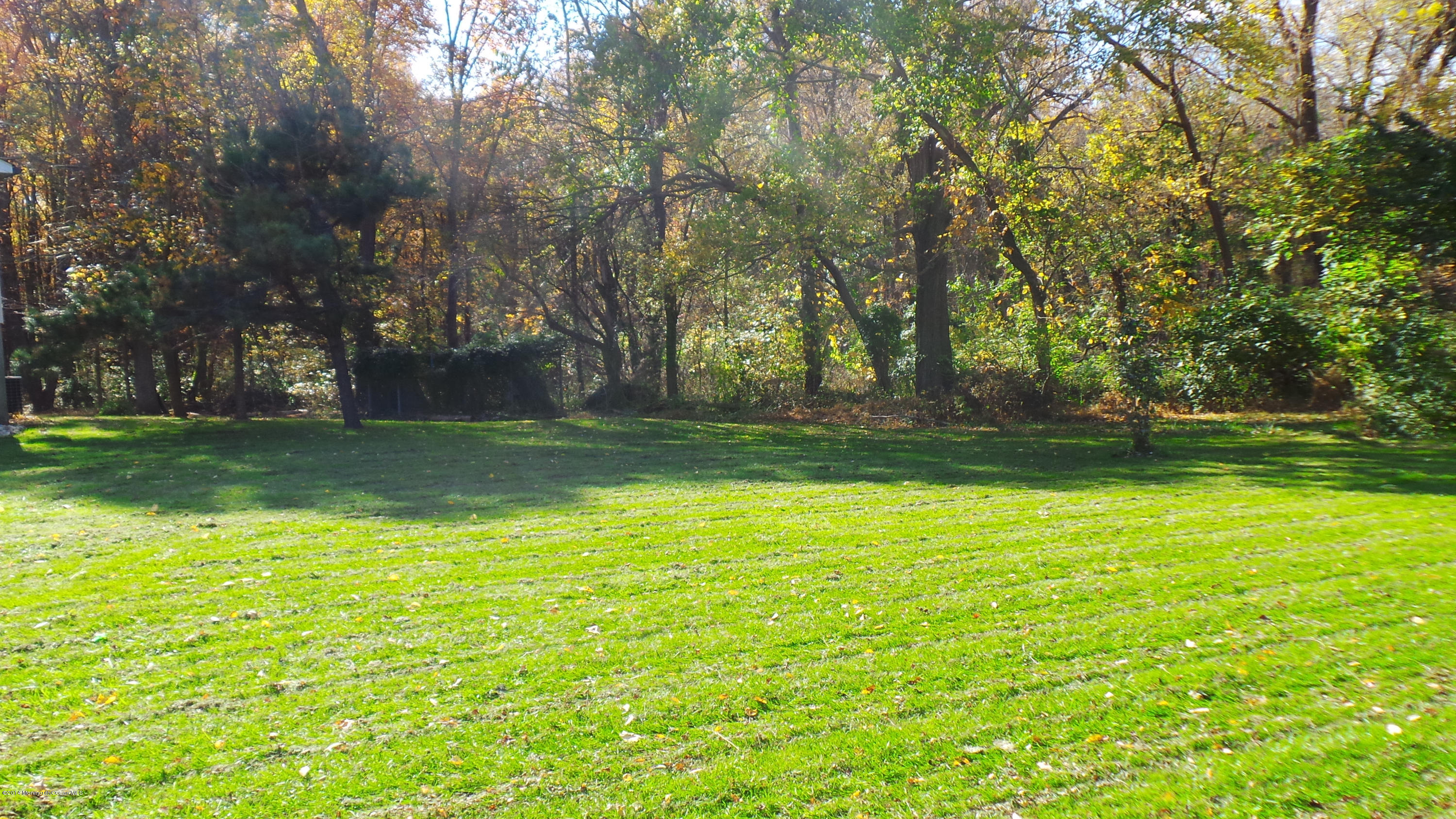 125 Millhurst Road Manalapan, NJ 07726 - Photo 22 of 24 2014-10-30 14