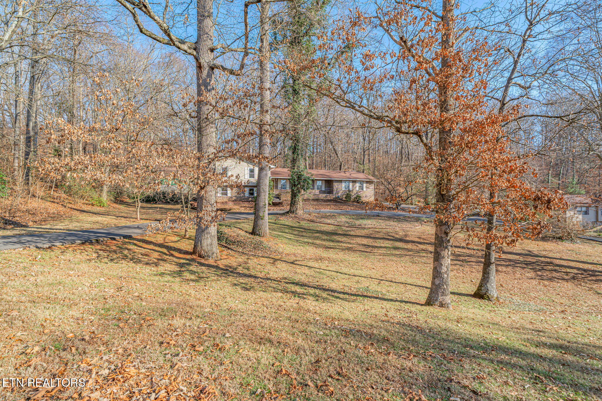 744 Butler Drive Loudon, TN 37774 - Photo 8 of 59 8-web-or-mls-744 Butler Drive-62