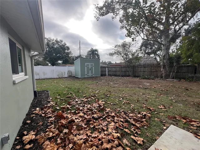 a view of a backyard with a large tree