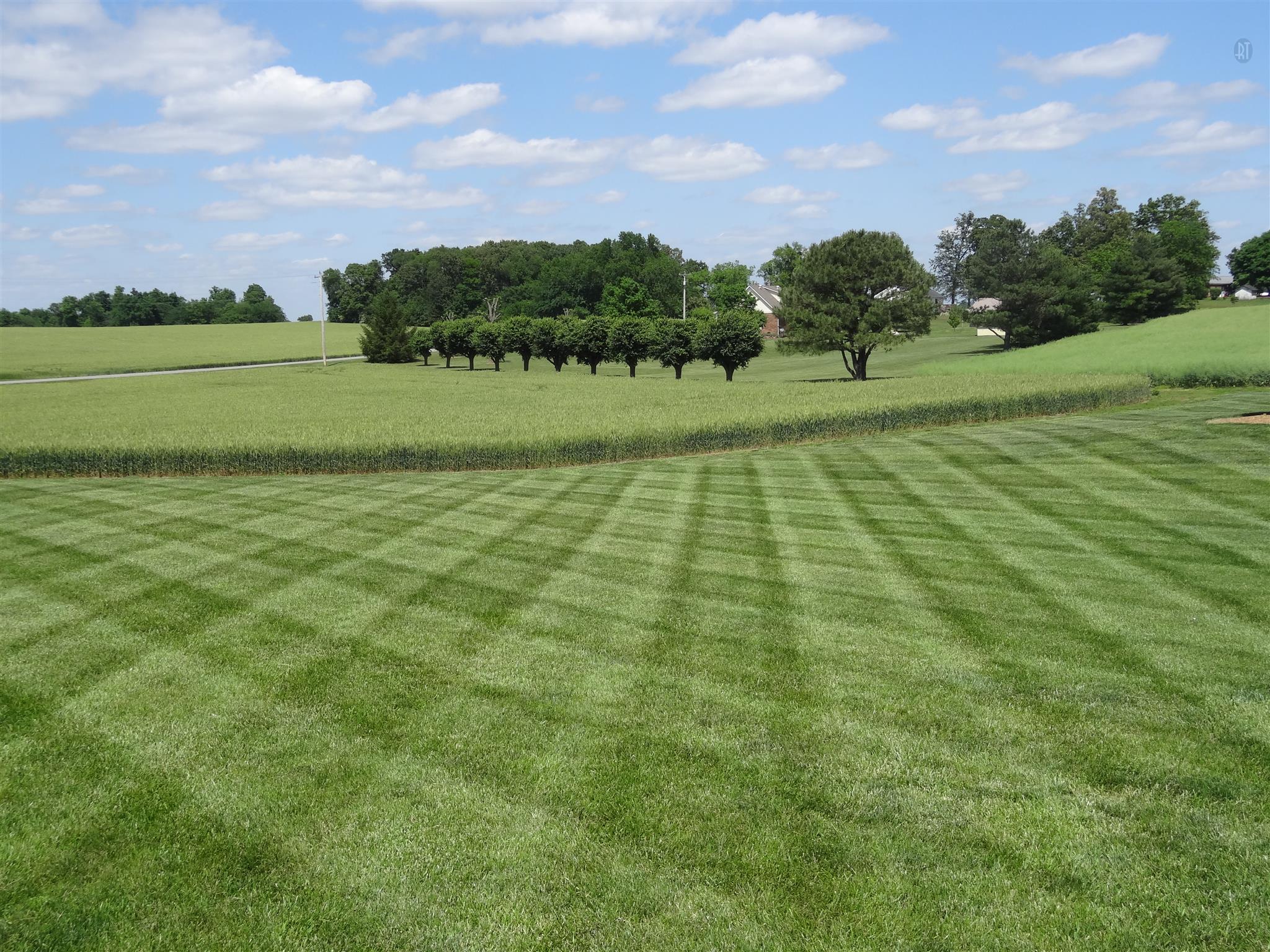 6177 Payne Road Portland, TN 37148 - Photo 12 of 23 Gallery Image 12