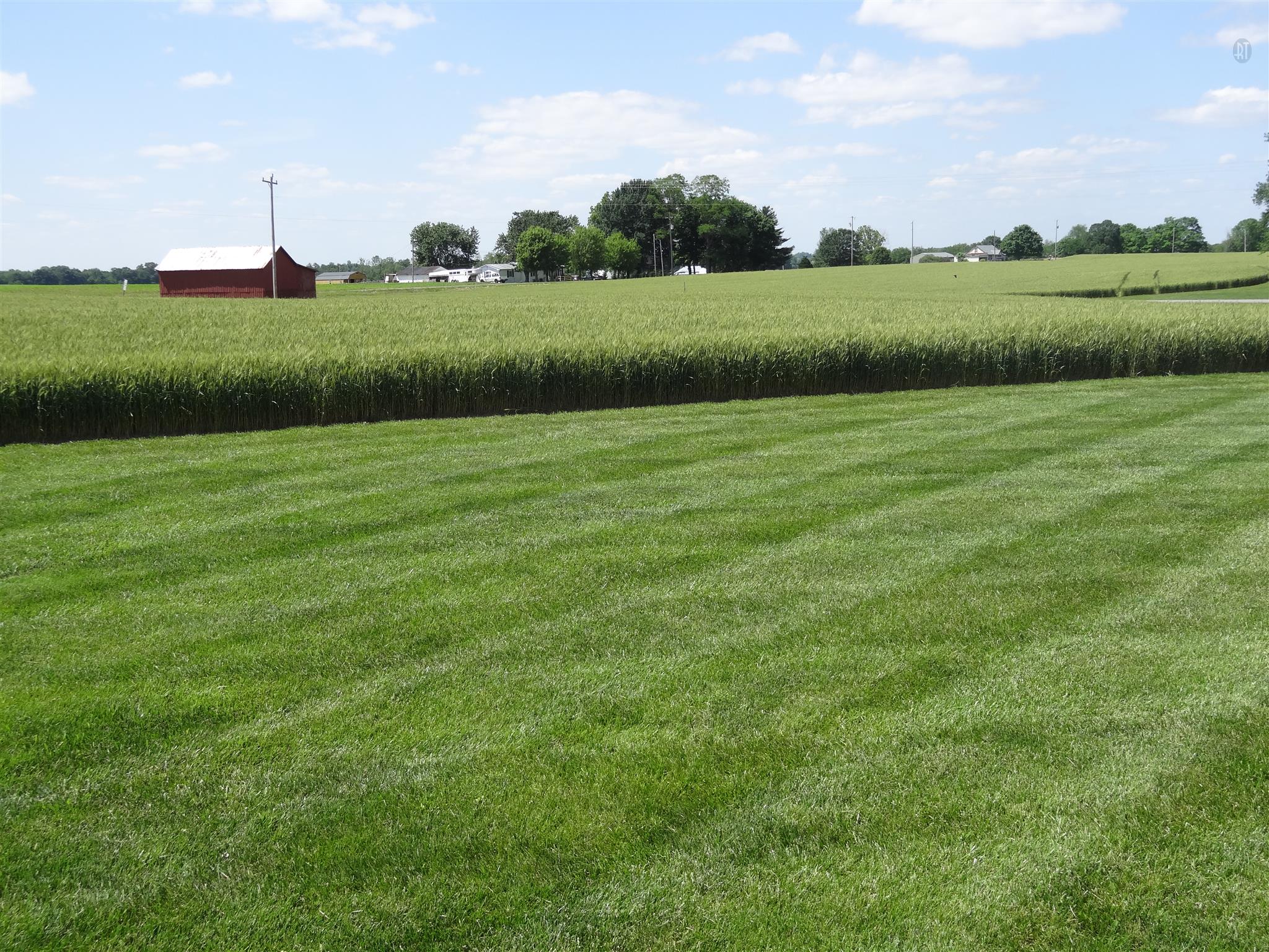 6177 Payne Road Portland, TN 37148 - Photo 13 of 23 Gallery Image 13