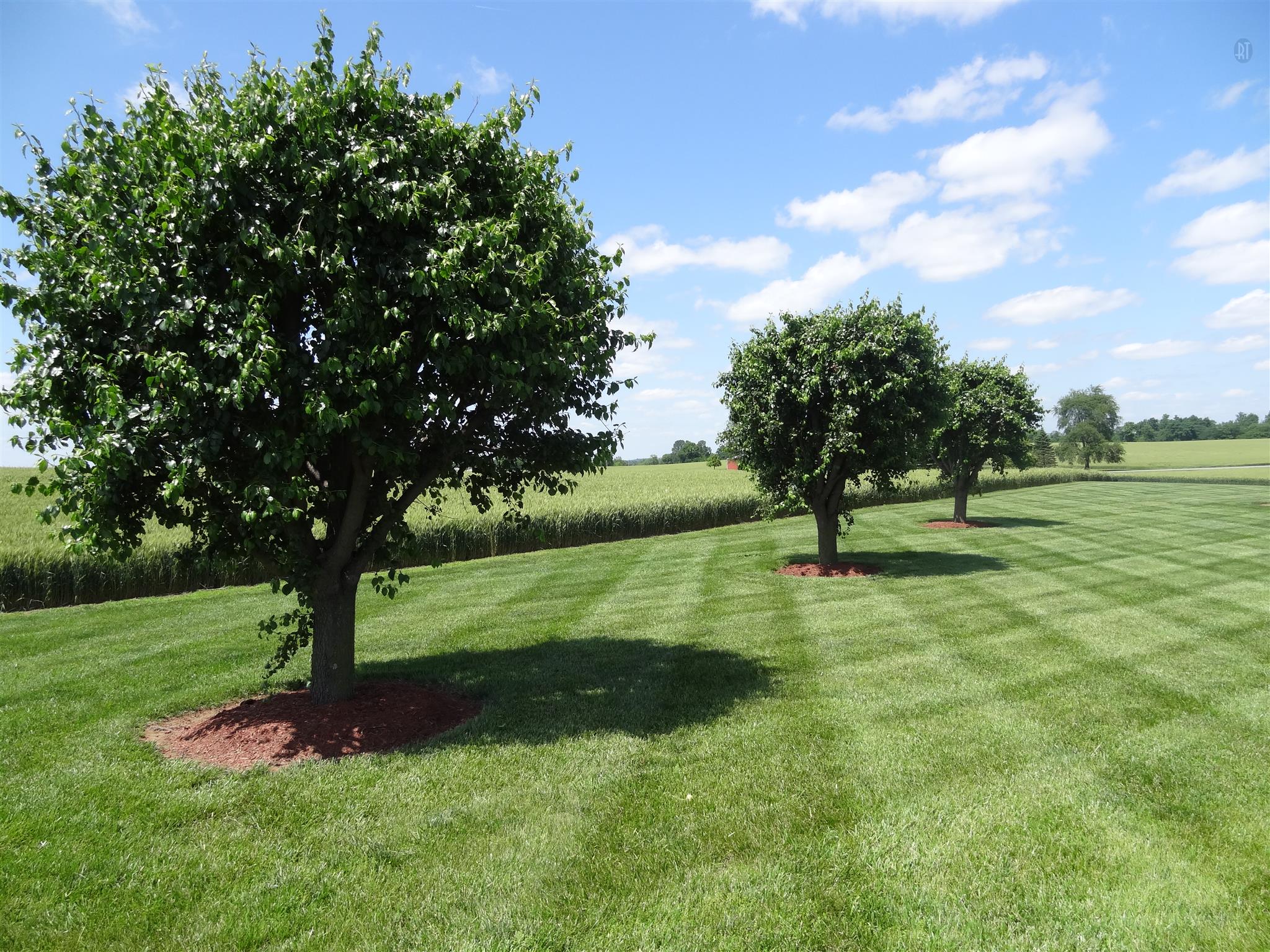 6177 Payne Road Portland, TN 37148 - Photo 14 of 23 Gallery Image 14