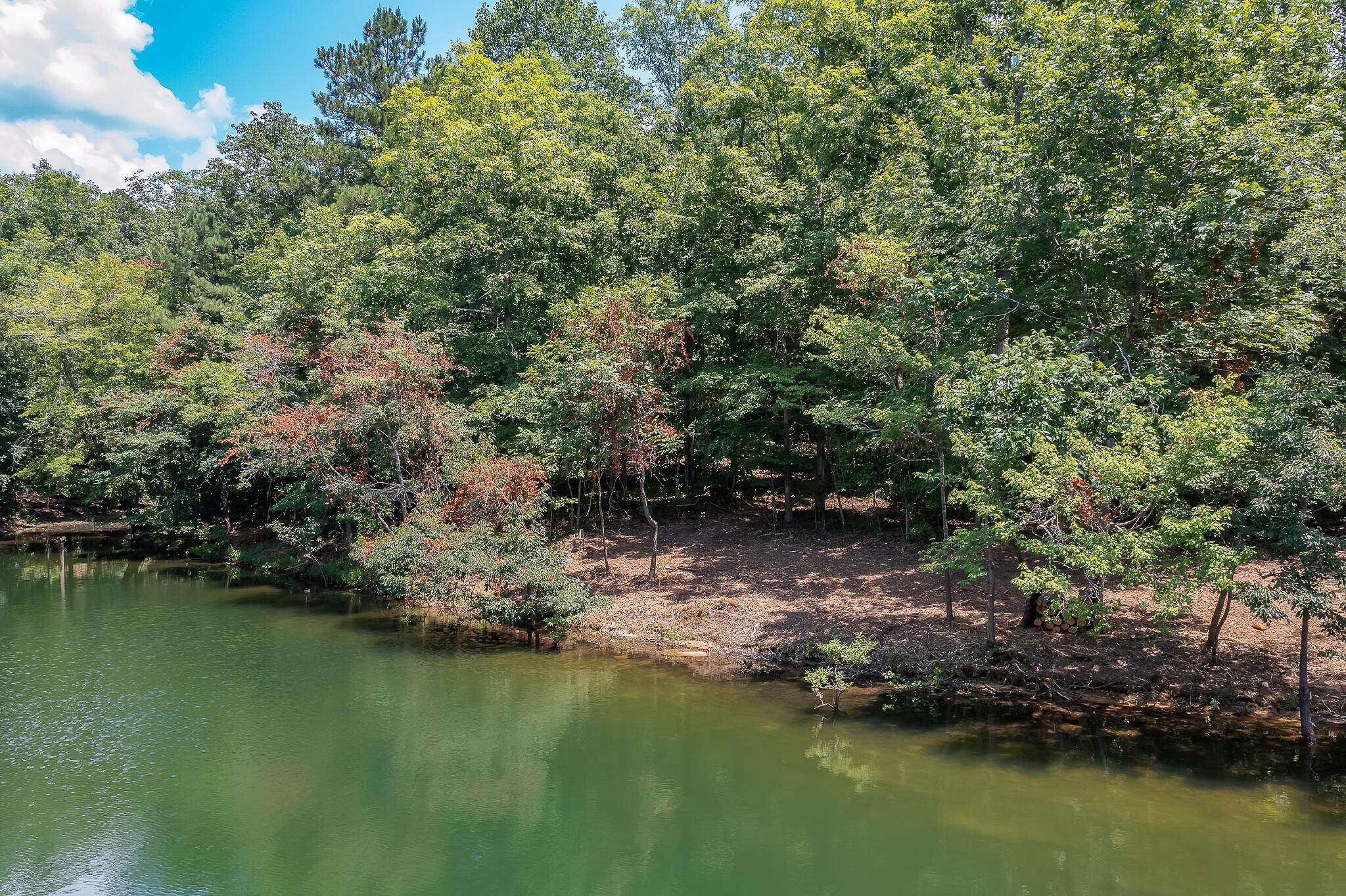174 County Road Crane Hill, AL 35053 - Photo 2 of 12 Gallery Image 2