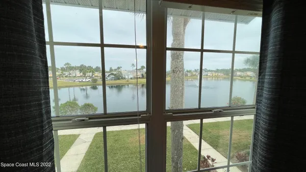 a picture of a flower in a garden