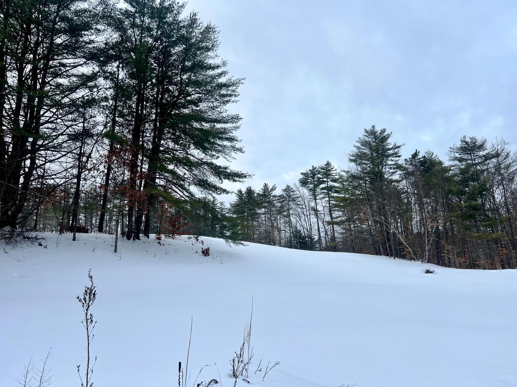 200 Walker Road Alexandria, NH 03222 - Photo 11 of 17