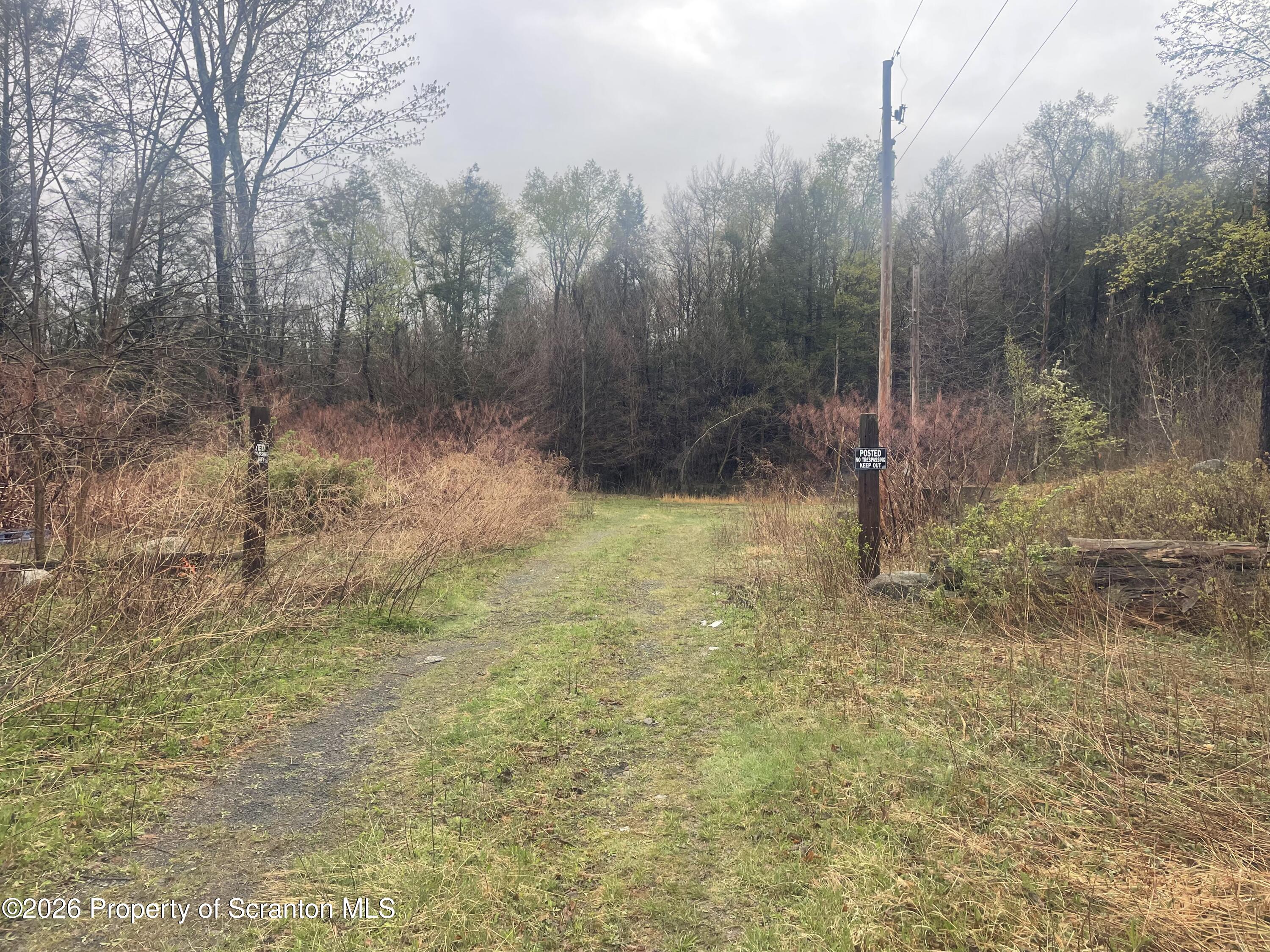 50 Delaware Street Simpson, PA 18407 - Photo 1 of 3 a view of a yard with a tree