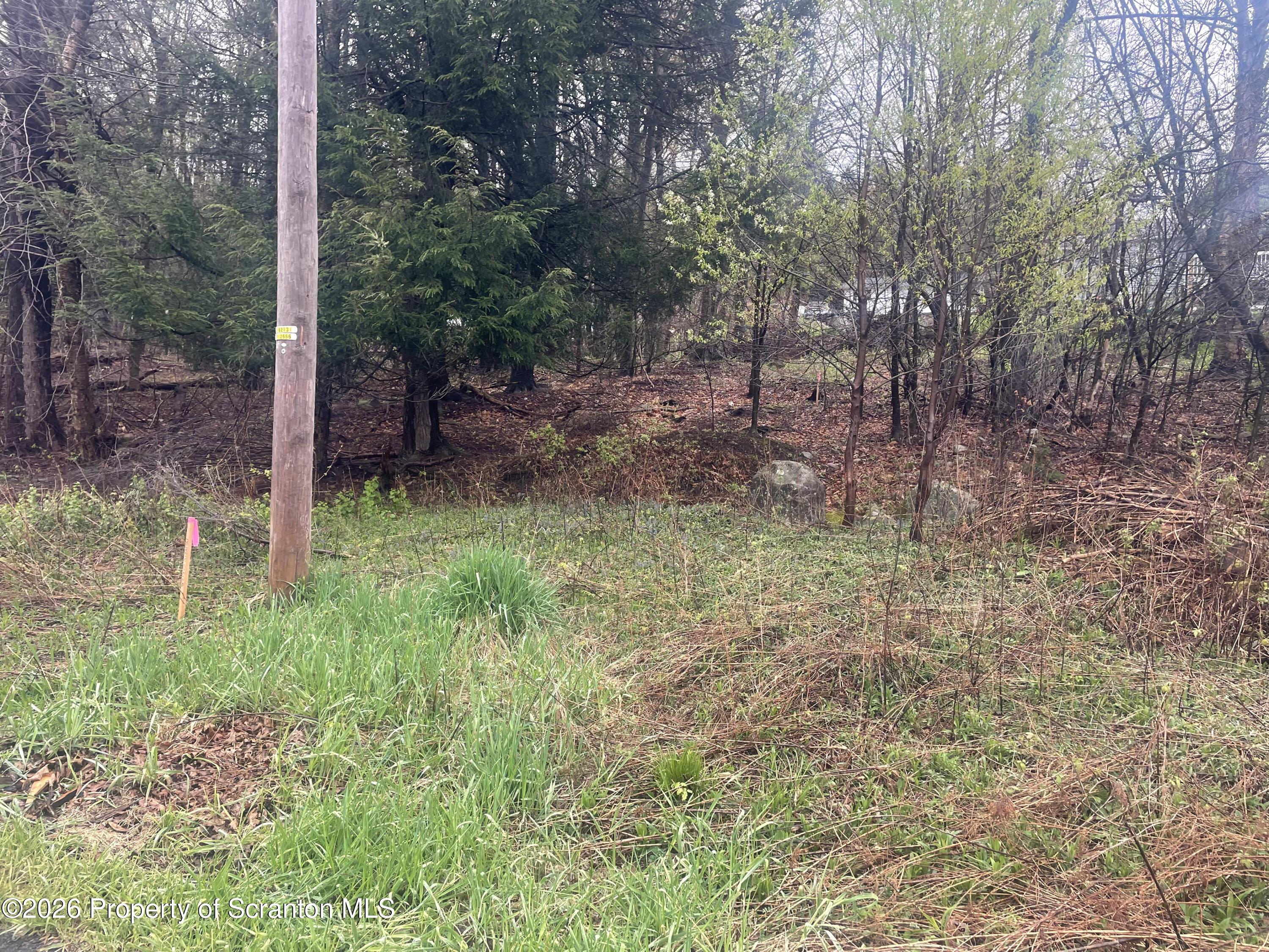 50 Delaware Street Simpson, PA 18407 - Photo 2 of 3 a backyard of a house with lots of green space