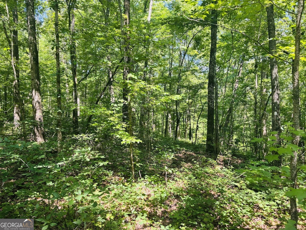 0 Forest Glen Road, Unit A Sylacauga, AL 35151 - Photo 18 of 34