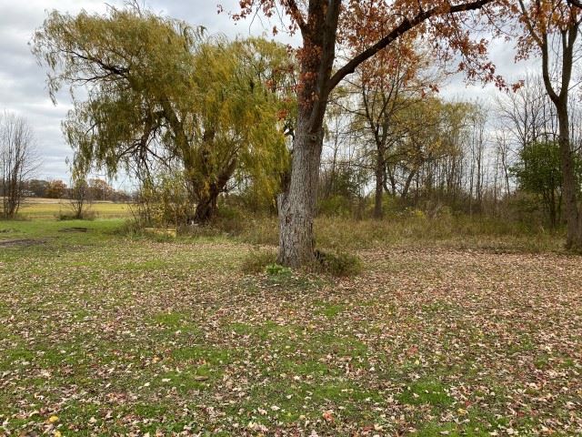 944 Kinney Road Memphis, MI 48041 - Photo 9 of 20 31399482-8.JPG