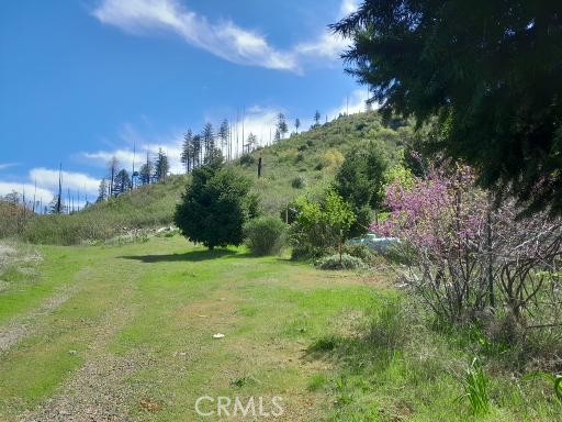 4236 Kakini Road Oroville, CA 95965 - Photo 5 of 7 a view of a big yard with large trees