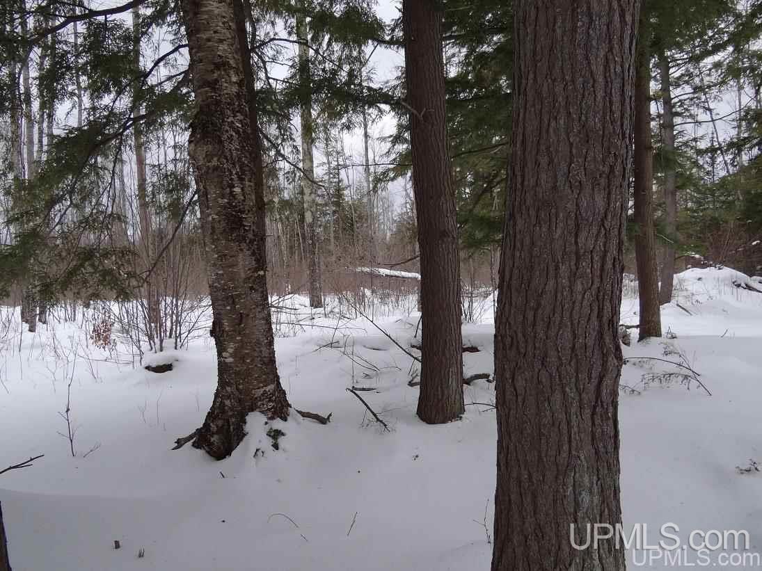 Tbd Old Rink Road Toivola, MI 49965 - Photo 18 of 31 Gallery Image 18