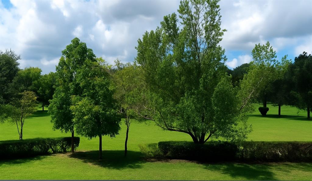 950 Hillcrest Drive, Unit 202 Hollywood, FL 33021 - Photo 10 of 19 a view of a garden
