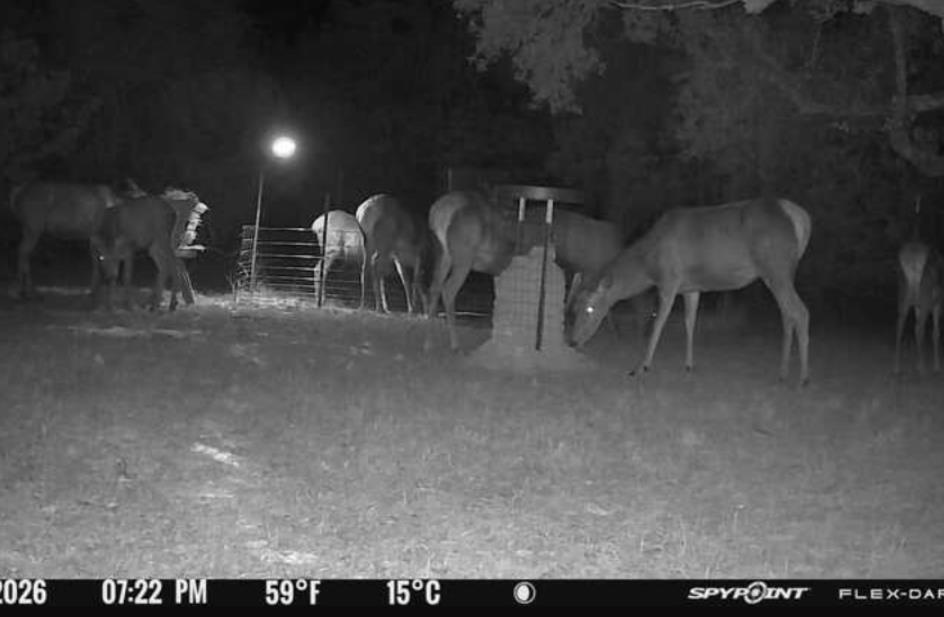 180 Bee Hive Road Hunt, TX 78024 - Photo 67 of 67