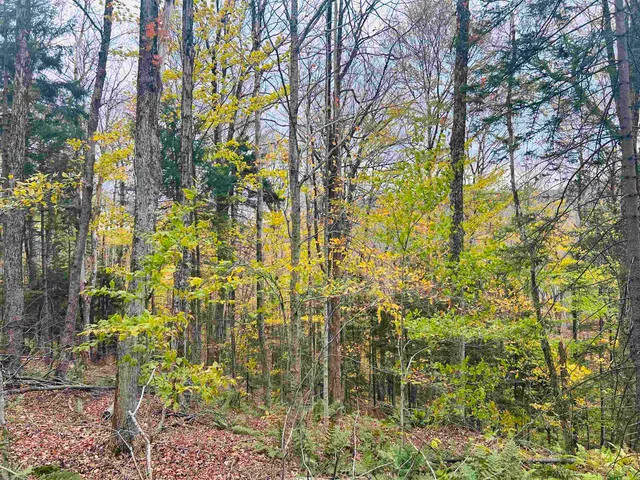 $27,000 | 0 Bergrucken Lane, Unit 119120, Townshend, VT 05353