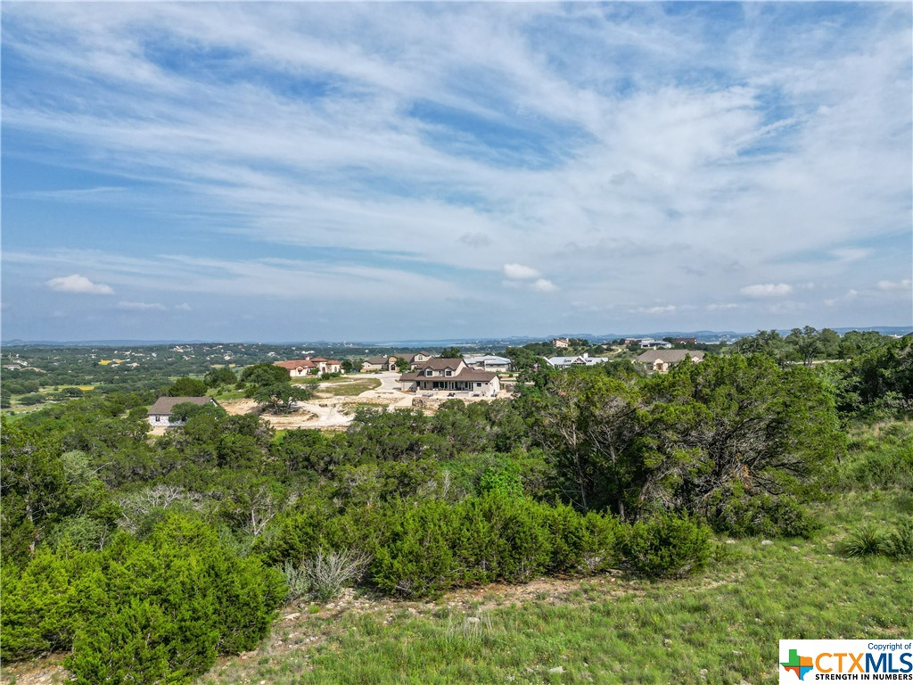 1042 Flint Lane Spring Branch, TX 78070 - Photo 1 of 1 a view of a green field