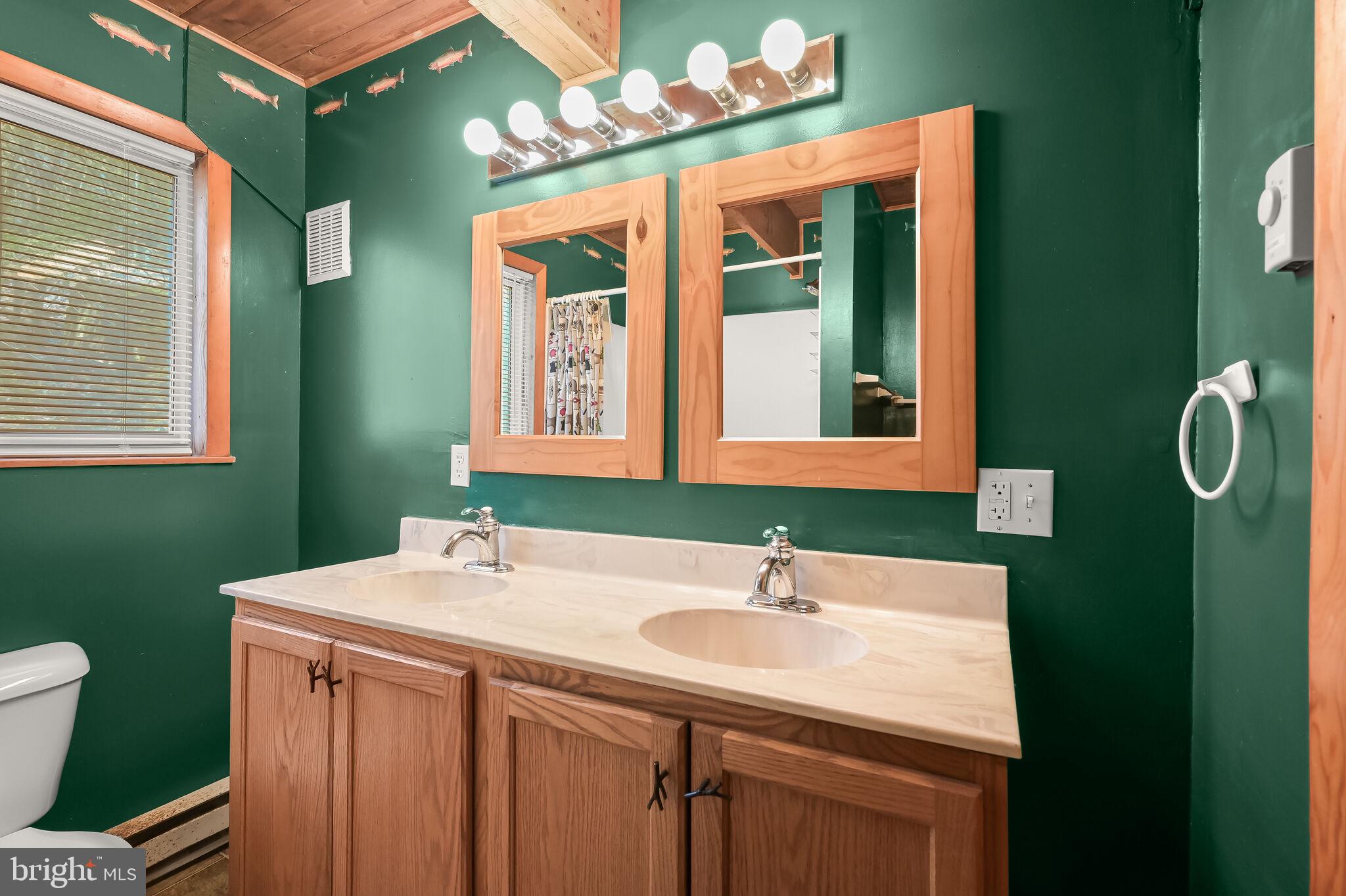 2702 Mayhew Inn Road Oakland, MD 21550 - Photo 28 of 87 Main Level Full Bath