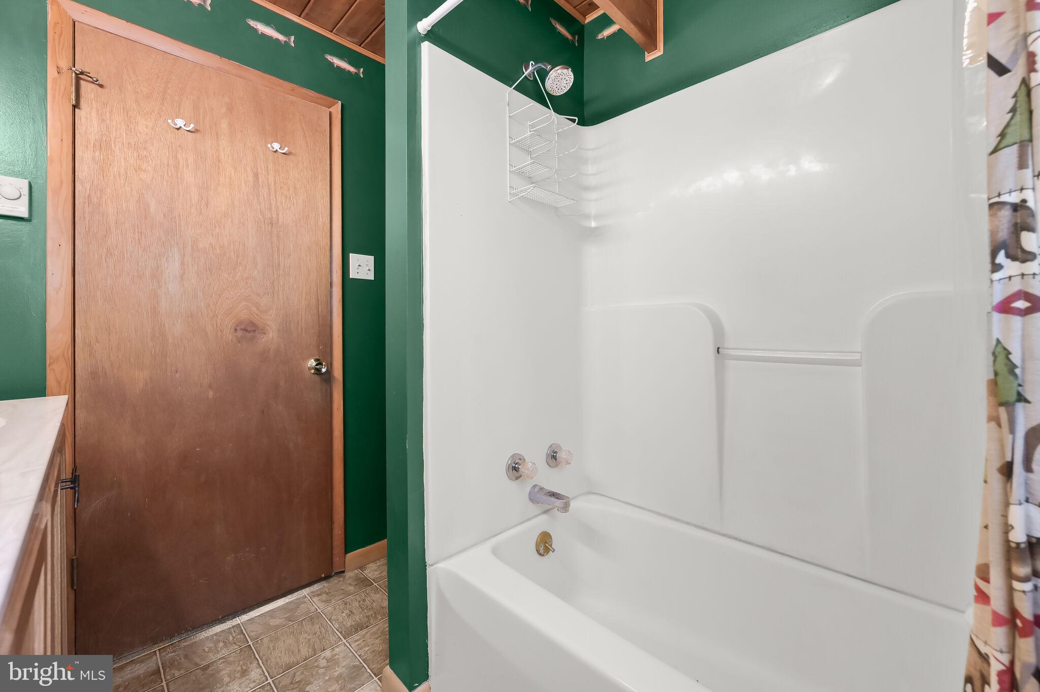 2702 Mayhew Inn Road Oakland, MD 21550 - Photo 32 of 87 Main Level Full Bath