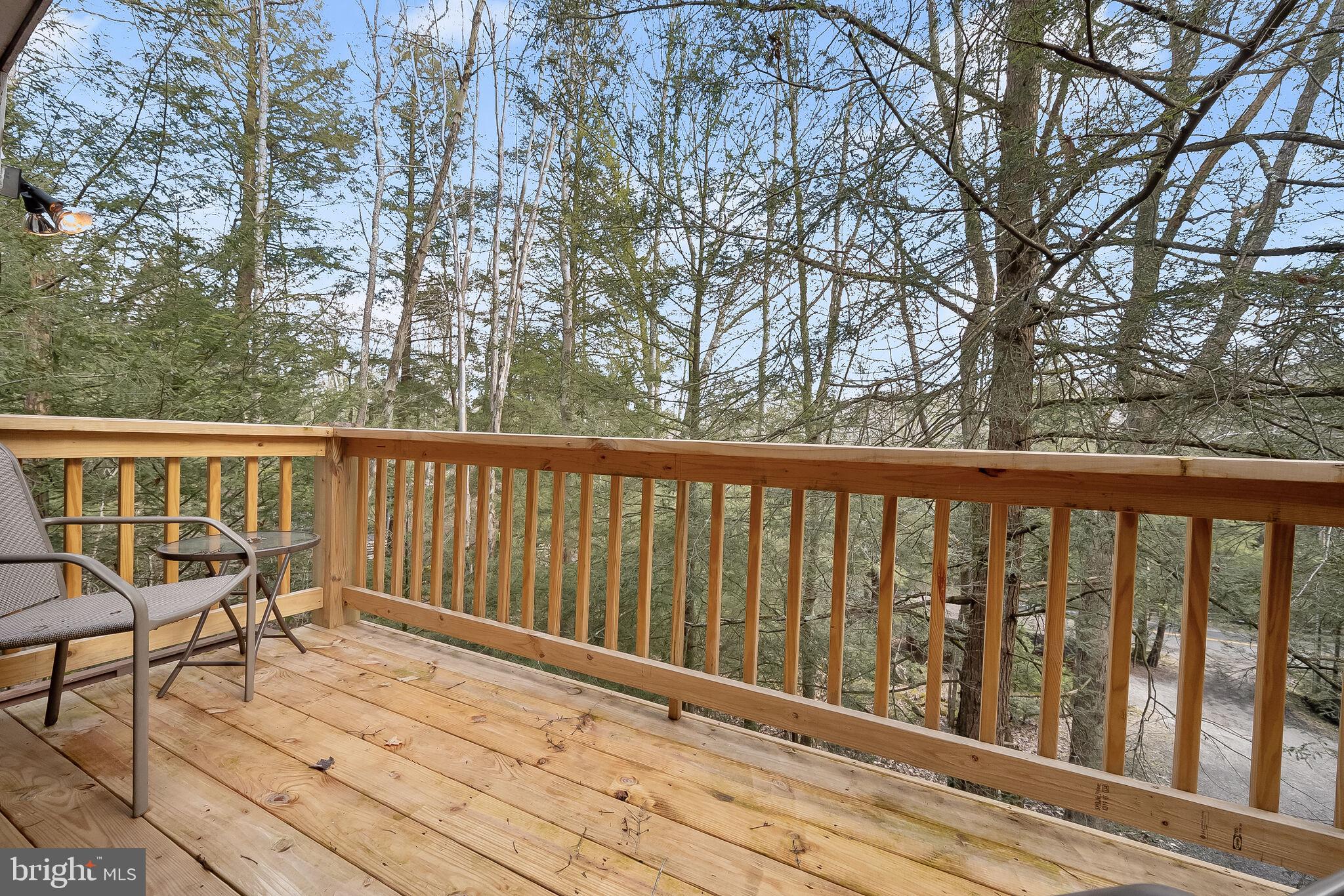 2702 Mayhew Inn Road Oakland, MD 21550 - Photo 41 of 87 Balcony | Views