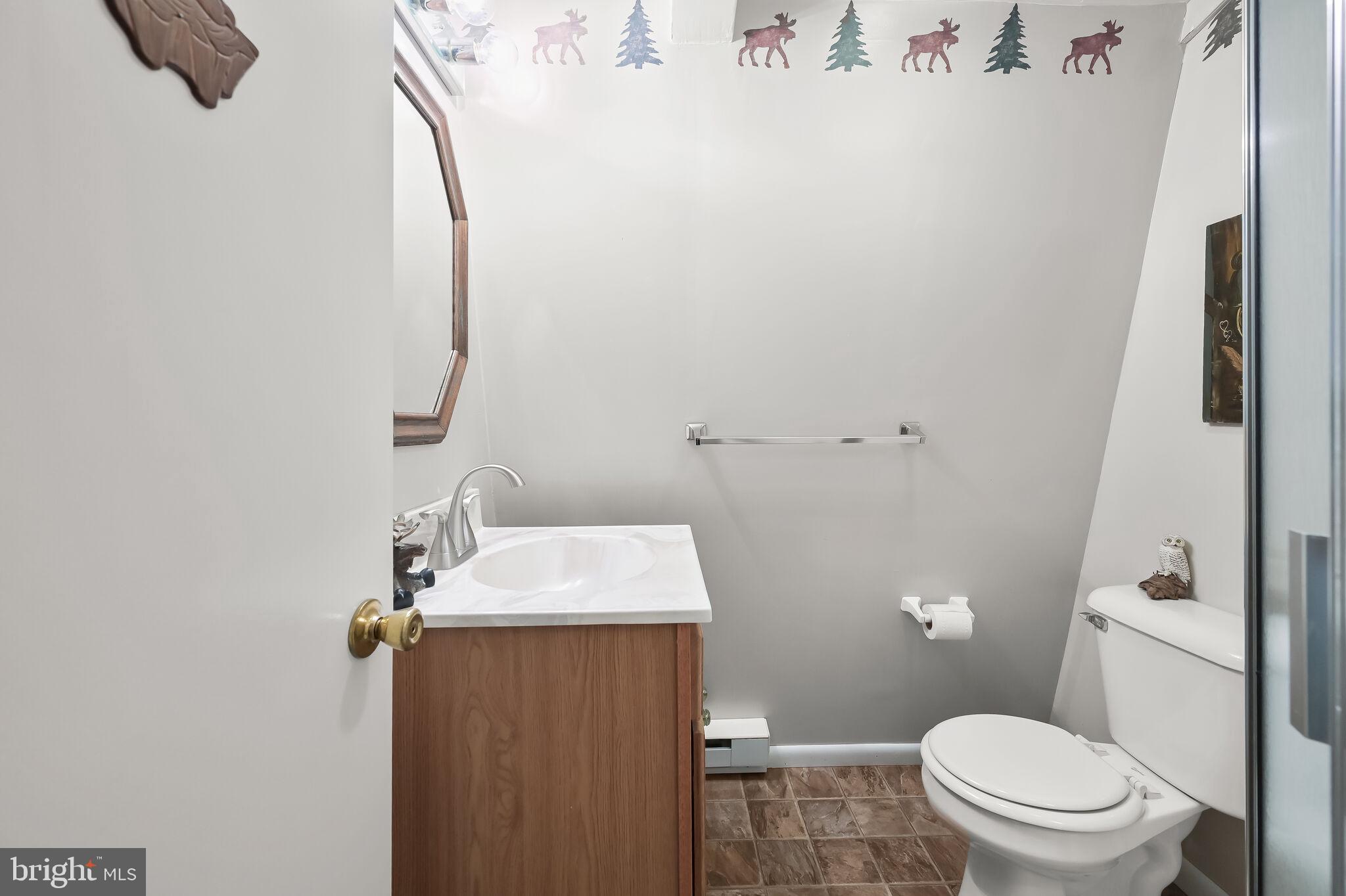 2702 Mayhew Inn Road Oakland, MD 21550 - Photo 45 of 87 Full Bath