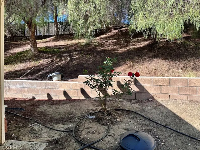 a view of yard along with trees
