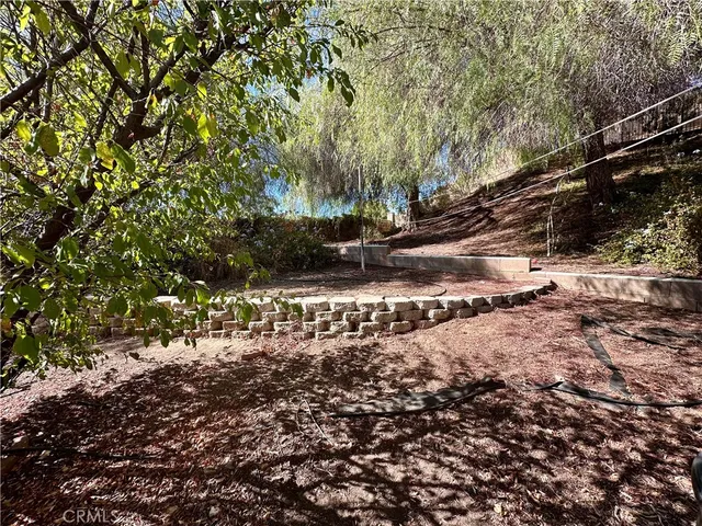 a view of a yard with plants and trees