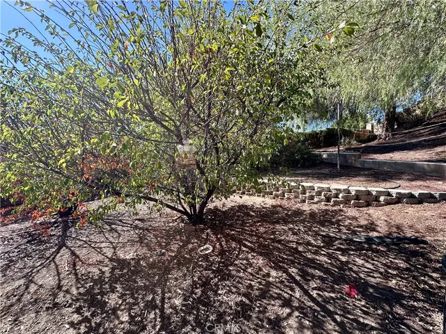 a view of a yard with plants and trees