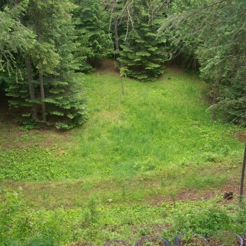 2323 Hickey Way Addy, WA 99101 - Photo 18 of 20 Gallery Image 18