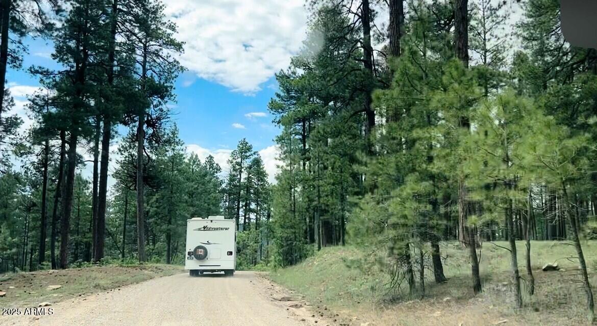 5131 Forest Service Road 137A Road, Unit PRCL40375003B A & B Happy Jack, AZ 86024 - Photo 13 of 21 a view of a back yard