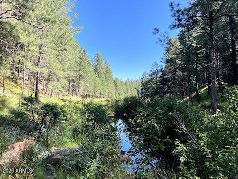 5131 Forest Service Road 137A Road, Unit PRCL40375003B A & B Happy Jack, AZ 86024 - Photo 19 of 21 a view of a tree in a garden
