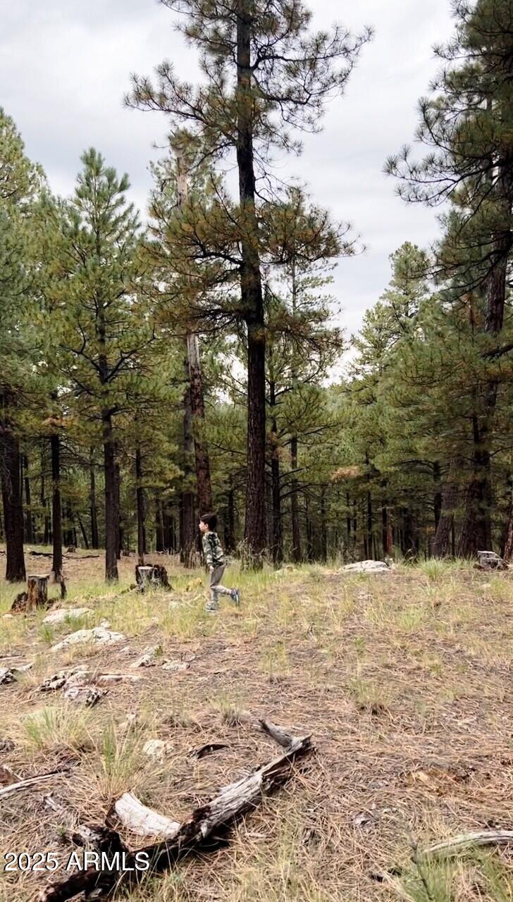 5131 Forest Service Road 137A Road, Unit PRCL40375003B A & B Happy Jack, AZ 86024 - Photo 2 of 21 a view of snow on the side of a road