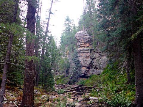 5131 Forest Service Road 137A Road, Unit PRCL40375003B A & B Happy Jack, AZ 86024 - Photo 21 of 21 a aerial view of a house with a yard