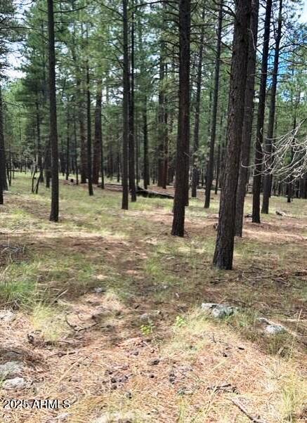 5131 Forest Service Road 137A Road, Unit PRCL40375003B A & B Happy Jack, AZ 86024 - Photo 4 of 21 a view of park