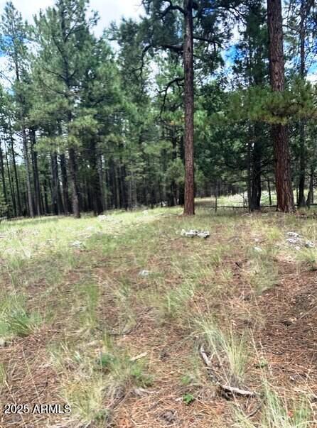 5131 Forest Service Road 137A Road, Unit PRCL40375003B A & B Happy Jack, AZ 86024 - Photo 5 of 21 a house with trees in the background