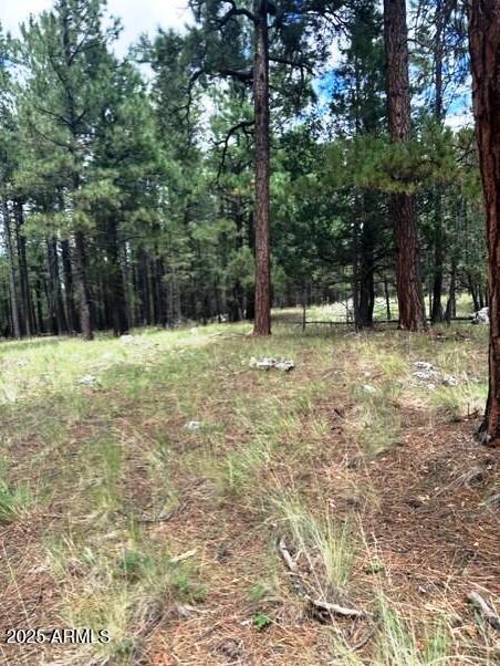 5131 Forest Service Road 137A Road, Unit PRCL40375003B A & B Happy Jack, AZ 86024 - Photo 6 of 21 a yard with trees in the background