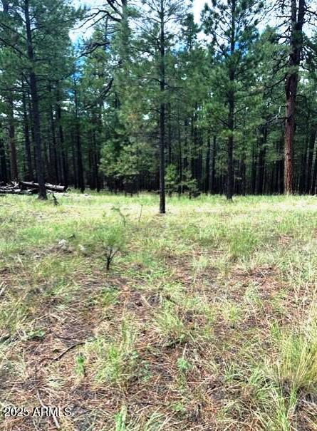 5131 Forest Service Road 137A Road, Unit PRCL40375003B A & B Happy Jack, AZ 86024 - Photo 7 of 21 a view of outdoor space with trees