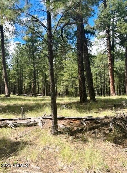5131 Forest Service Road 137A Road, Unit PRCL40375003B A & B Happy Jack, AZ 86024 - Photo 8 of 21 a view of a yard with a tree