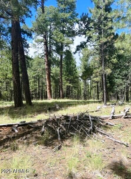 5131 Forest Service Road 137A Road, Unit PRCL40375003B A & B Happy Jack, AZ 86024 - Photo 9 of 21 a view of a backyard with large trees