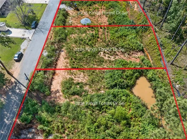 a picture of flowers