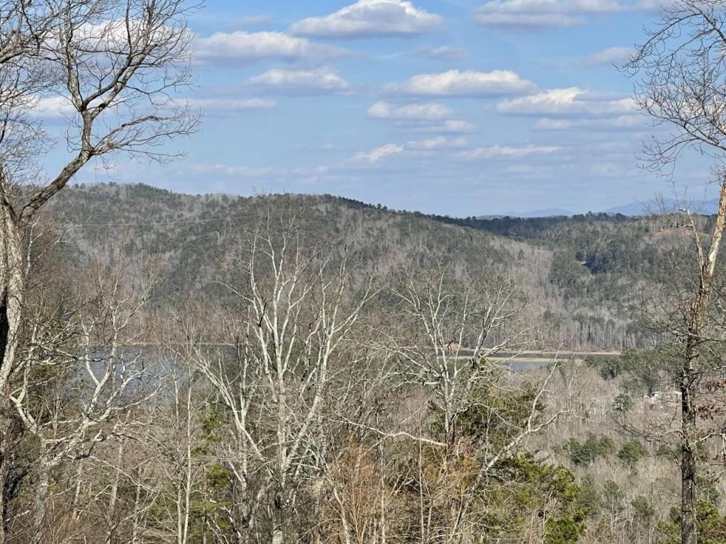 278 Carters Overlook Drive Ranger, GA 30734 - Photo 16 of 17 Gallery Image 16