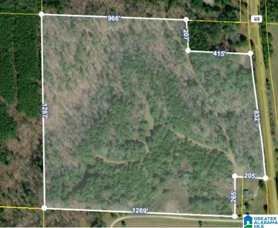 0 North Highway 69 North Berry, AL 35546 - Photo 1 of 1