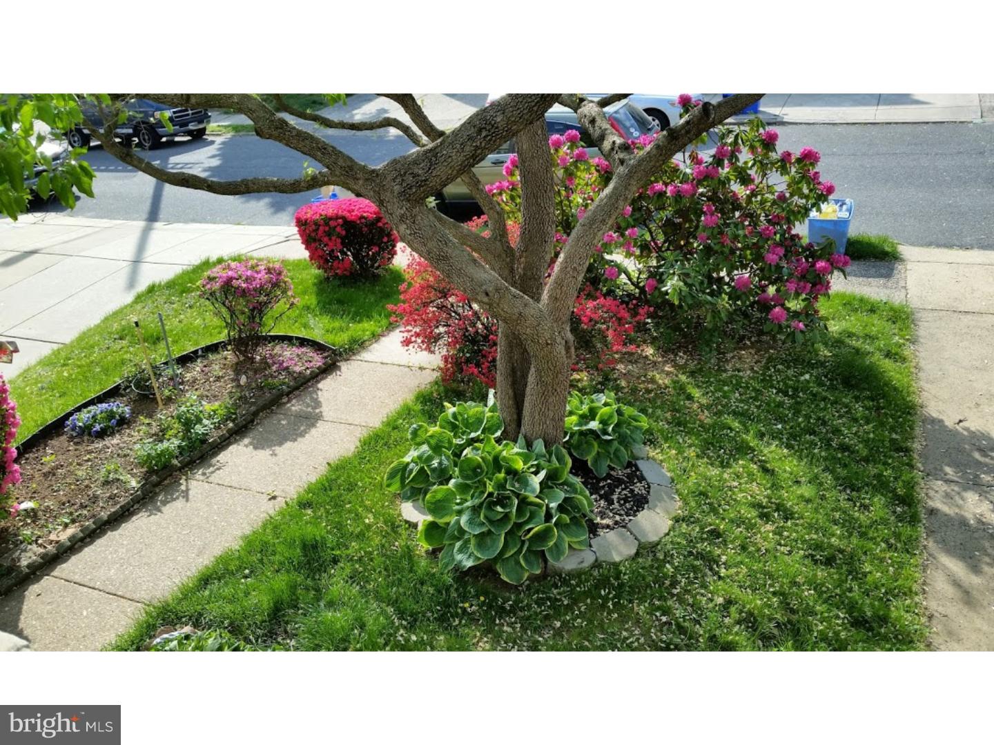 9947 Bridle Road Philadelphia, PA 19115 - Photo 4 of 20 Front Yard